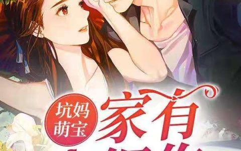 小说小胖 莫骐《坑妈萌宝：家有小细作》在线全文免费阅读