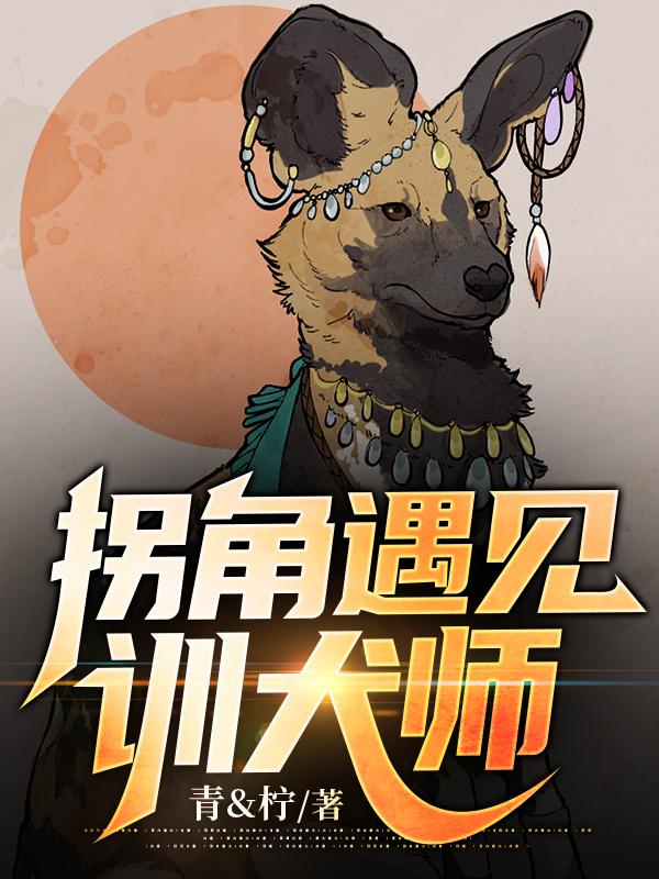 拐角遇见训犬师