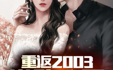 重返2003，游戏之王最新章节，陈文 田泽清全文免费阅读