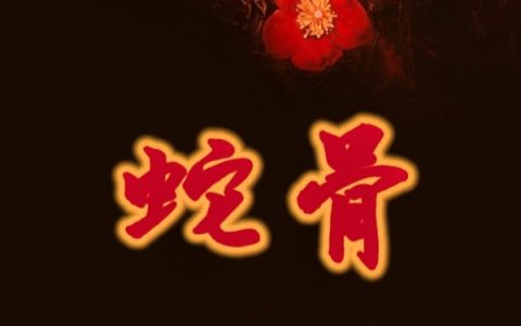 蛇骨最新章节，聂姑姑,白凤楼全文免费阅读