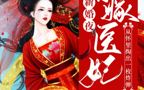 慕容婉,容珩《新婚夜，替嫁医妃从怀里掏出一枚炸弹》小说全文免费阅读