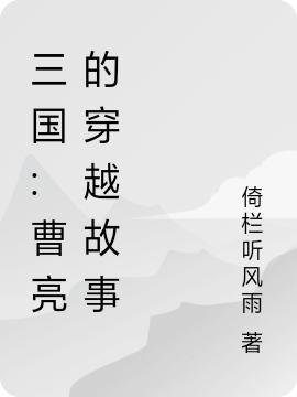 三国:曹亮的穿越故事