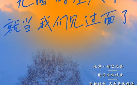 九回·时空旅行夏涂,夏涂心最新章节在线免费阅读