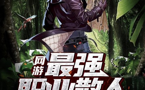 网游：最强职业散人最新章节，江枫,里皮全文免费阅读