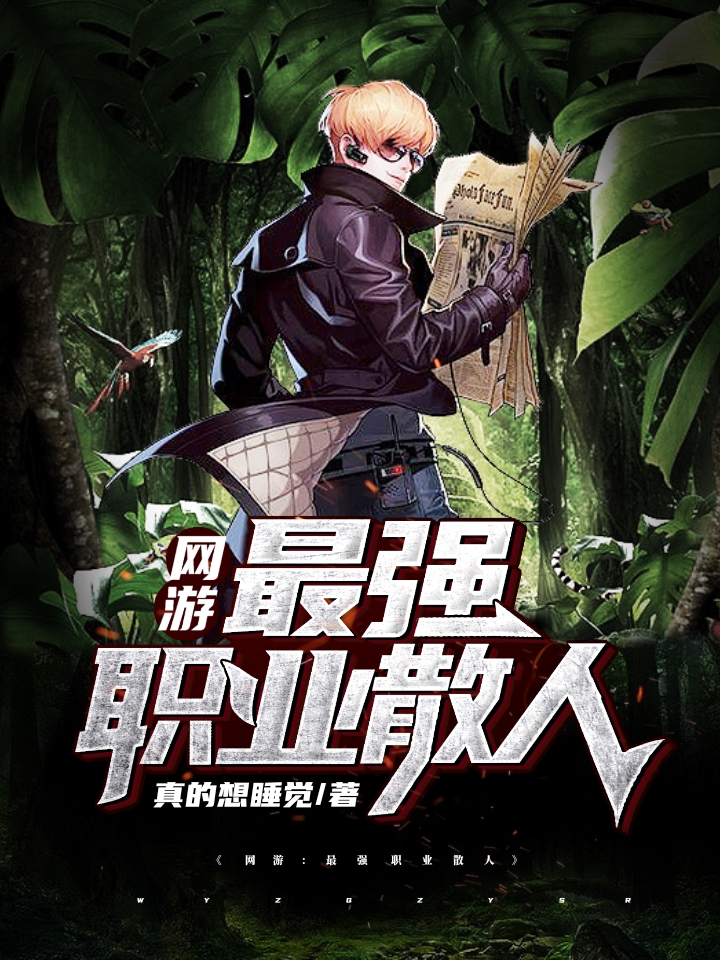 网游:最强职业散人
