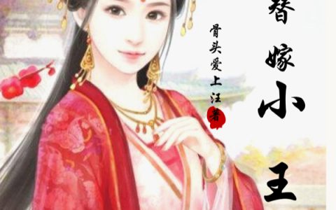 《穿越之替嫁小王妃》林婉儿,夏竹小说免费阅读