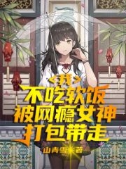 我,不吃软饭被网瘾女神打包带走