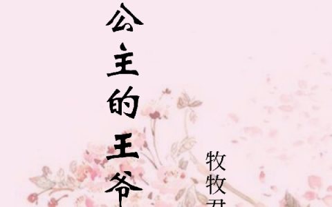 黎洛,子琛小说《傲娇公主的王爷郎君》全文免费阅读