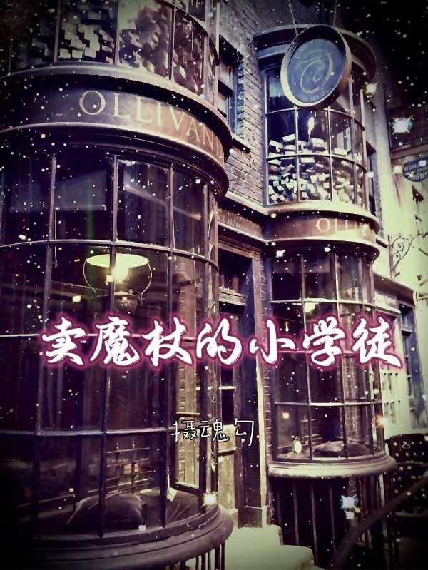 卖魔杖的小学徒