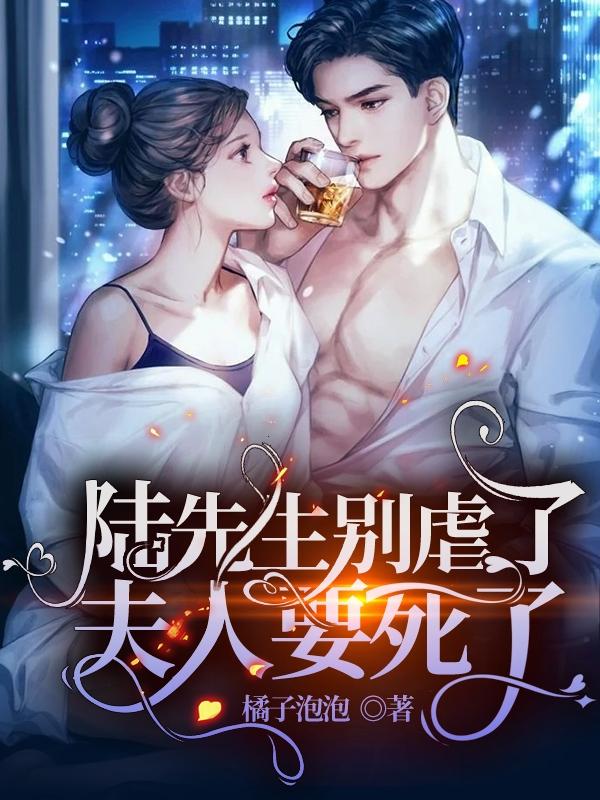 陆先生别虐了,夫人要死了