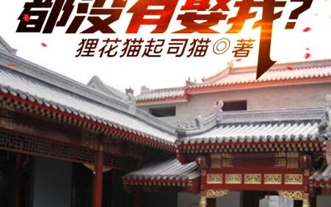 四合院:一百私房钱都没有娶我？陈乾,绝无神最新章节在线免费阅读