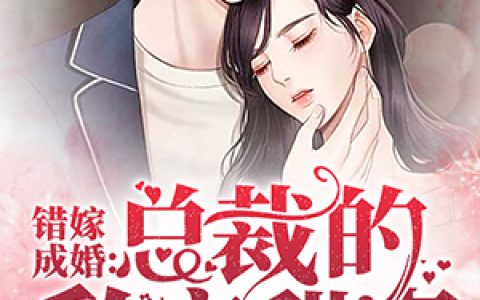 小说《错嫁成婚：总裁的私宠甜妻》秦舒褚临沉完整版免费阅读