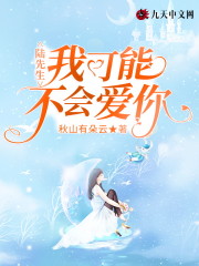 陆先生,我可能不会爱你