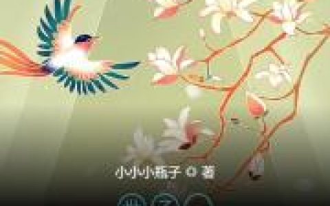 沈易佳宋璟辰小说最新章节列表