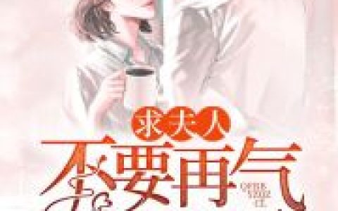求夫人不要再气总裁了最新章节,唐小晚沈沐川小说免费阅读