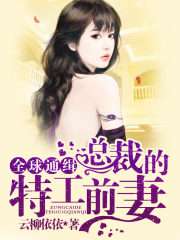 全球通缉;总裁的特工前妻