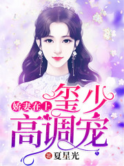 娇妻在上:玺少,高调宠