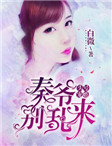 头号宠婚:秦爷,别乱来