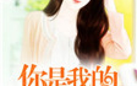 小说《你是我的不可说》秦雨晴吴宜兰完整版免费阅读