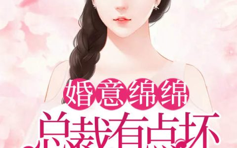 安妮小慧小说最新章节列表