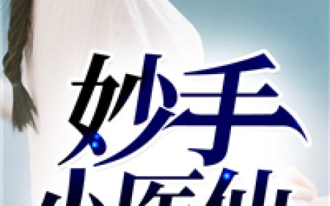 《妙手小医仙》吴东小虫子小说免费阅读