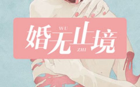 主角叫宁馥羽关昭《婚无止境》书籍章节列表