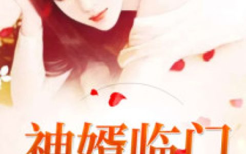神婿临门叶峰叶志武最新章节在线免费阅读