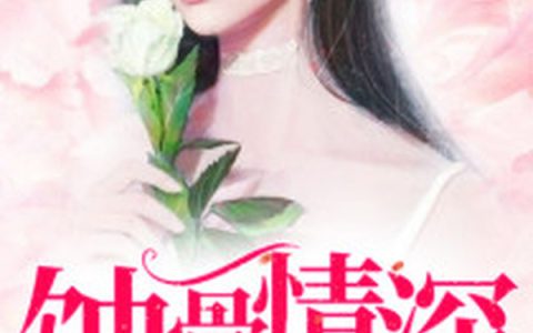 小说侯景擎岑清《蚀骨情深》在线全文免费阅读