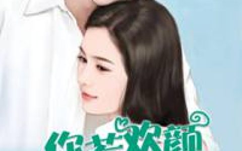 主角叫叶欢颜陵寒《你若欢颜我心自暖》书籍章节列表