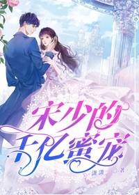 昨夜晚风遮星辰