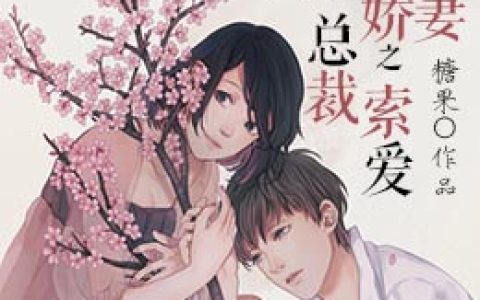 主角叫秦小雅秦小姐《双面娇妻之总裁索爱》书籍章节列表