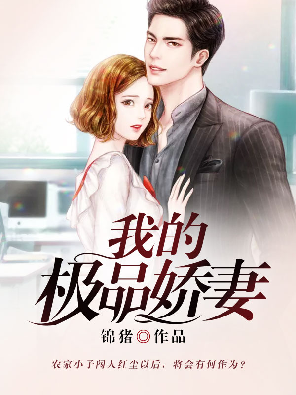 我的极品娇妻/我的极品娇妻