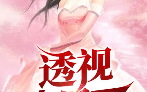 透视小民工(徐凡林燕)小说在哪里看?