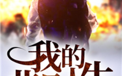 主角叫江浩王佳妮《我的非凡人生》书籍章节列表
