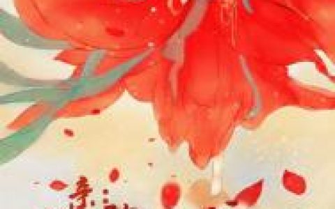 亲，你的魂魄呢？最新的章节怎么看?