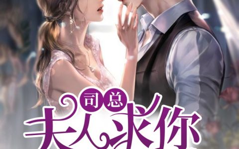 小说《司总，夫人求你做个人》乔颜小莲完整版免费阅读