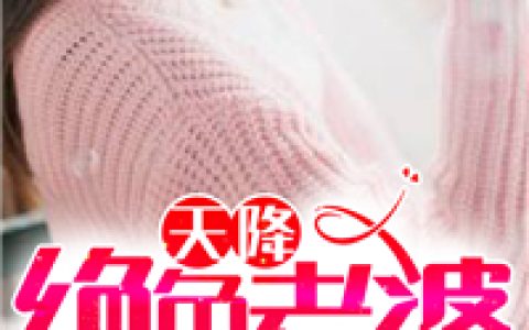 秦城苏婉《天降绝色老婆》小说全文免费阅读