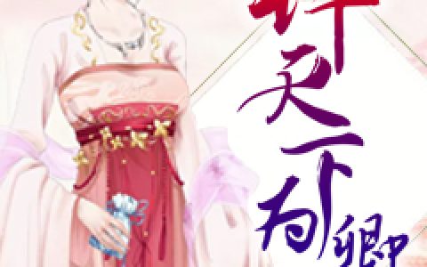舒婧容司徒白小说最新章节列表