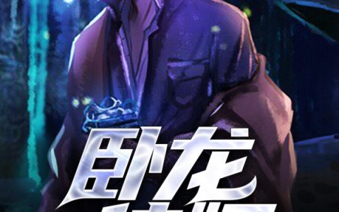 卧龙佳婿/卧龙佳婿纪少龙林芷晴最新章节在线免费阅读