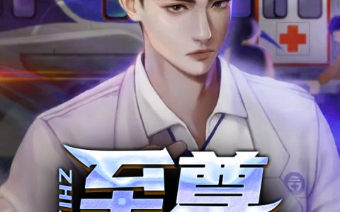 主角叫叶枫蔡云若《至尊医途》书籍章节列表