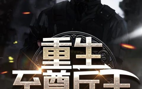 微信小说看到的《重生至尊兵王》求最新章节