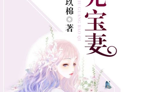 微信小说看到的《珠光宝妻》求最新章节