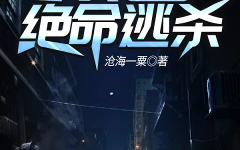 杨帆小太阳小说最新章节列表