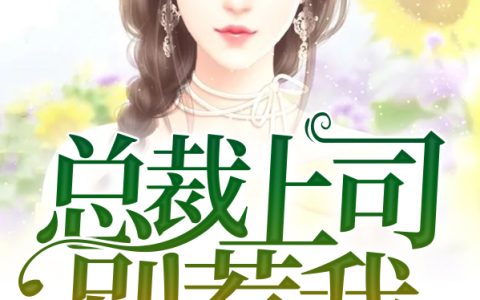 总裁上司别惹我(宋襄严厉寒)小说在哪里看?