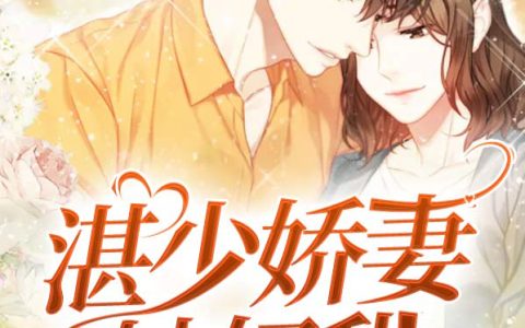 《偏偏宠爱：湛少娇妻她好甜》南念初陆湛小说免费阅读