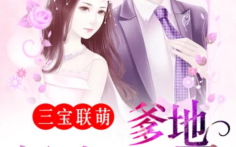 求小说《三宝联萌：爹地，妈咪又跑了！》全文免费阅读资源！