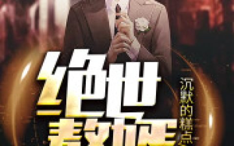 求小说《绝世赘婿》全文免费阅读资源！