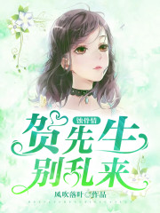 蚀骨情:贺先生,别乱来