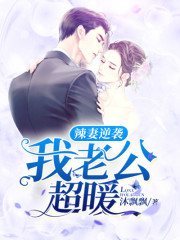 辣妻逆袭:陆少,放肆爱