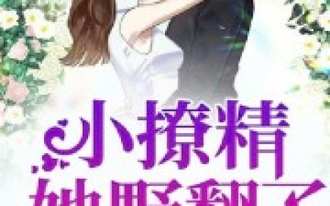 夏夫人夏星辰小说最新章节列表